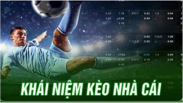 Best Online Casinos with Sports Betting Odds