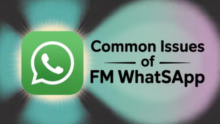 How to Fix Common FM WhatsApp Errors (Installation, Backup, Bans)