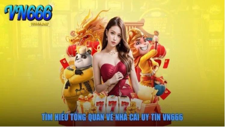 Live Dealer Thrills and Real Winnings – Only at VN666