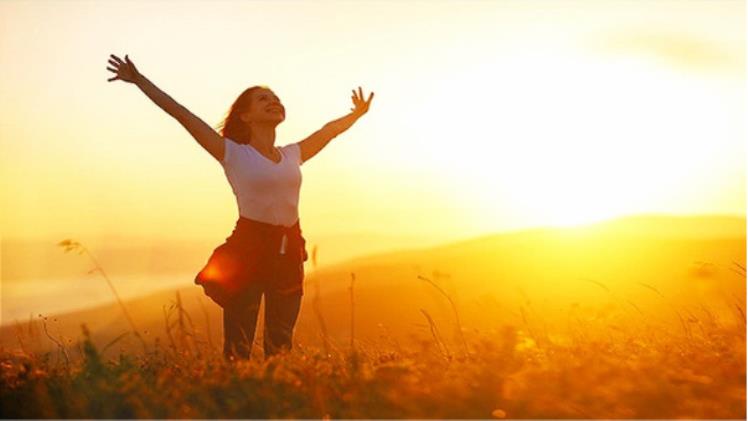 Books About Life- The Journey to Find the Meaning of Works