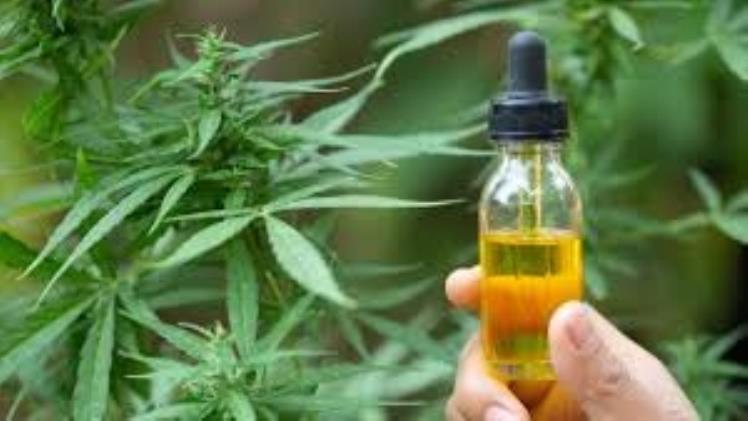 Beyond the Bottle: Ensuring a Safe and High-Quality CBD Purchase