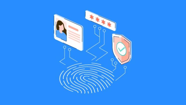 Family ID Explained: Understanding Household-Based Digital Identity Systems